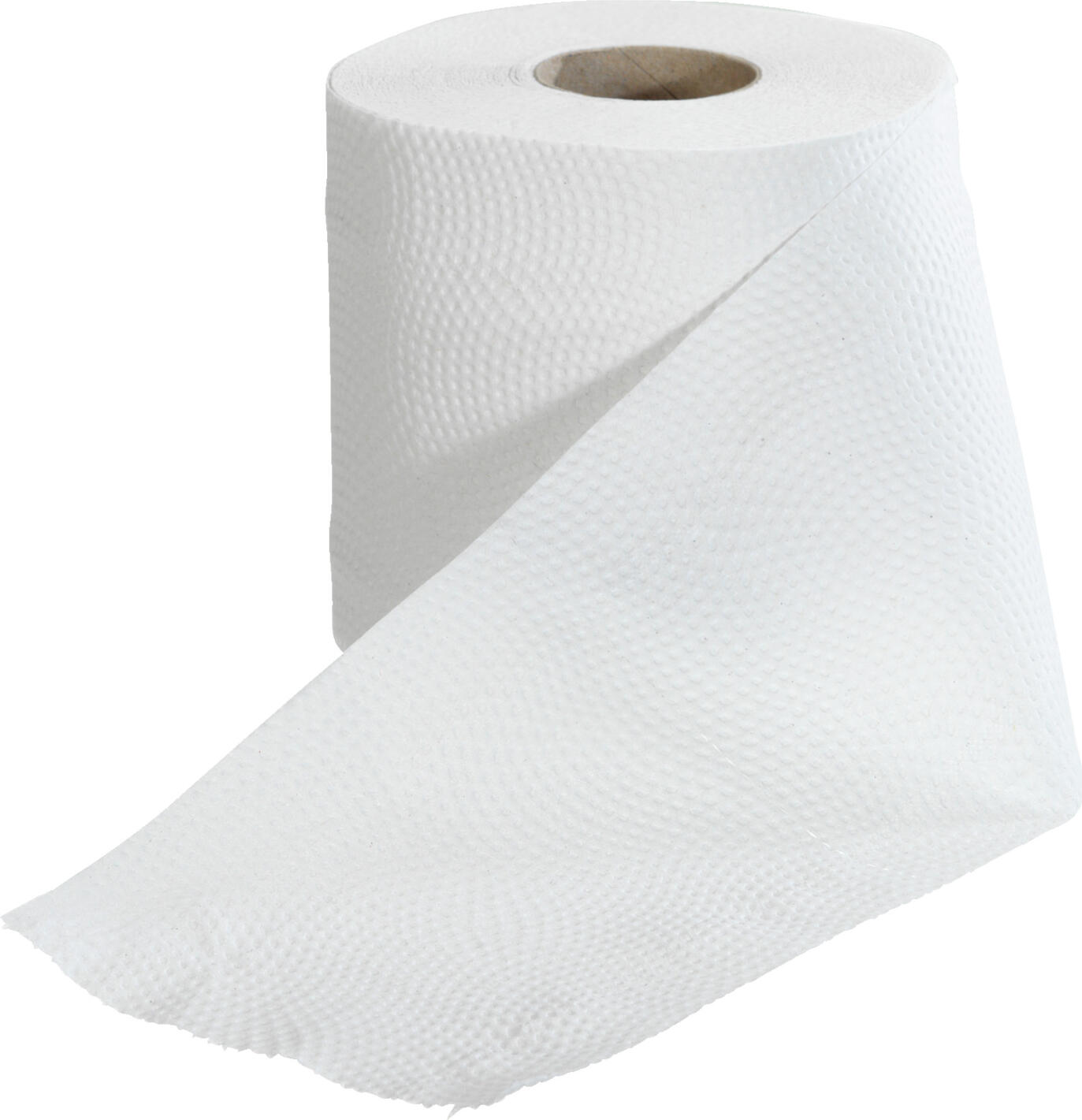 Katrin Basic Toilet Paper, 2-Ply, 100% Recycled Paper, 250 Sheets per Roll, Natural White, Pack of 64 Rolls