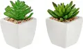 Vega Afra Artificial Plant Set of 2, Ceramic Square White Pots with Decorative Pebbles, 5.5x11.5 cm, Maintenance-Free Indoor and Protected Outdoor Decor