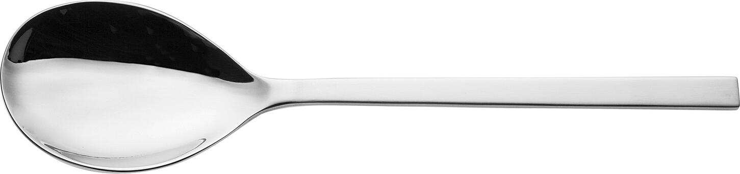 Picard & Wielpütz Girona Salad Cutlery Set of 2 Pieces, 18/10 Stainless Steel, Matt Handle, Polished Head, 21 cm, Silver