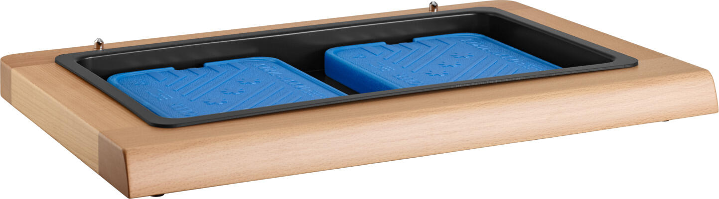 VEGA Smart basic Cooling Pack Set of 2, High-Density Polyethylene Blue Rectangular Cold Packs 25 x 19 x 2.5 cm for Ardea Platters
