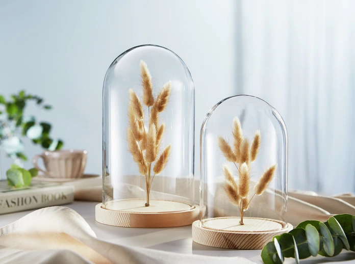 Obiect Decorativ Vega Bojana, Clopot Glass cu Flori Uscate si Baza de Lemn, 15.8x26 cm, Transparent si Natural