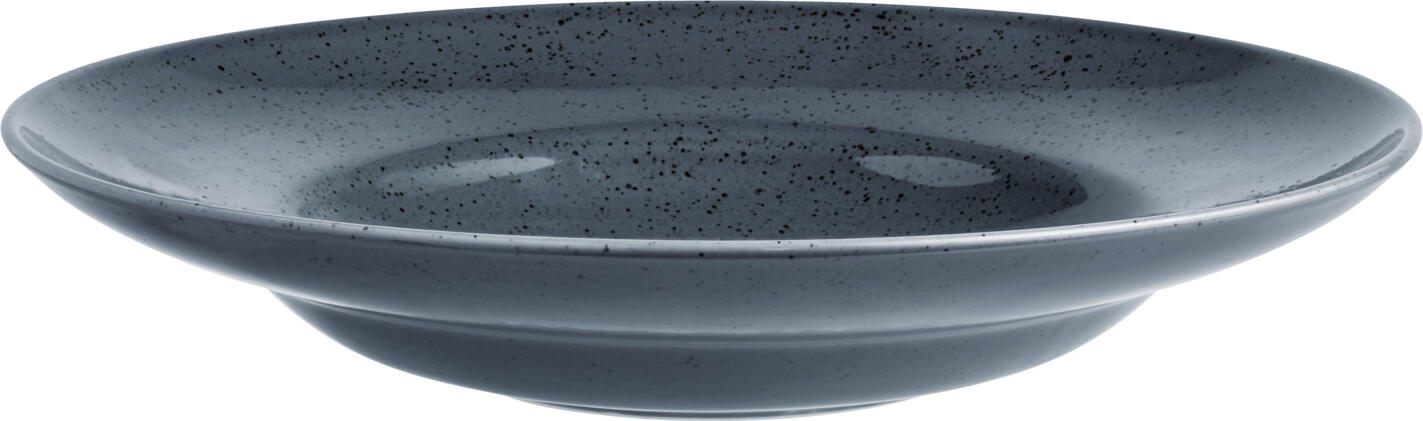 Set de 3 farfurii pentru paste VEGA Alessia, Porțelan Gri cu Pete, Diametru 29.5 cm, Margine Lata, Compatibile cu Mașina de Spălat Vase și Cuptorul cu Microunde
