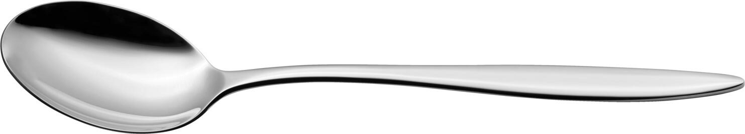 VEGA Sydney Table Spoon Set of 12, 18/10 Chrome-Nickel Stainless Steel, Mirror Polished, Slim Round Handle, 21.2 cm, Silver