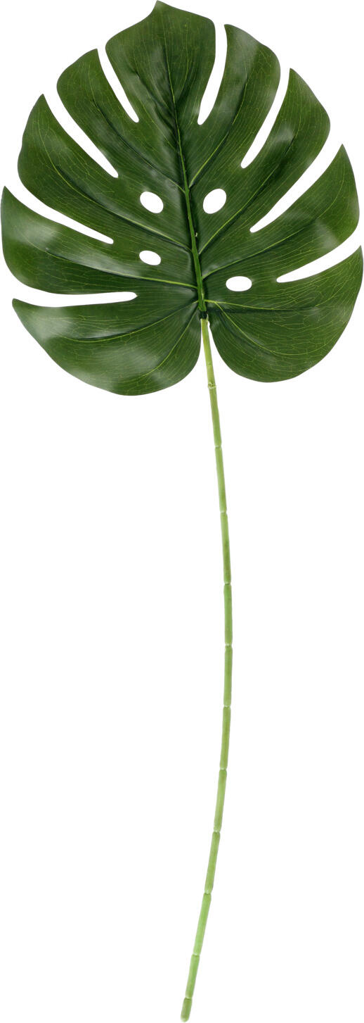 VEGA Maaika Artificial Monstera Leaf, 74 cm, Green, Maintenance-Free Evergreen Decorative Plant, Material Mix