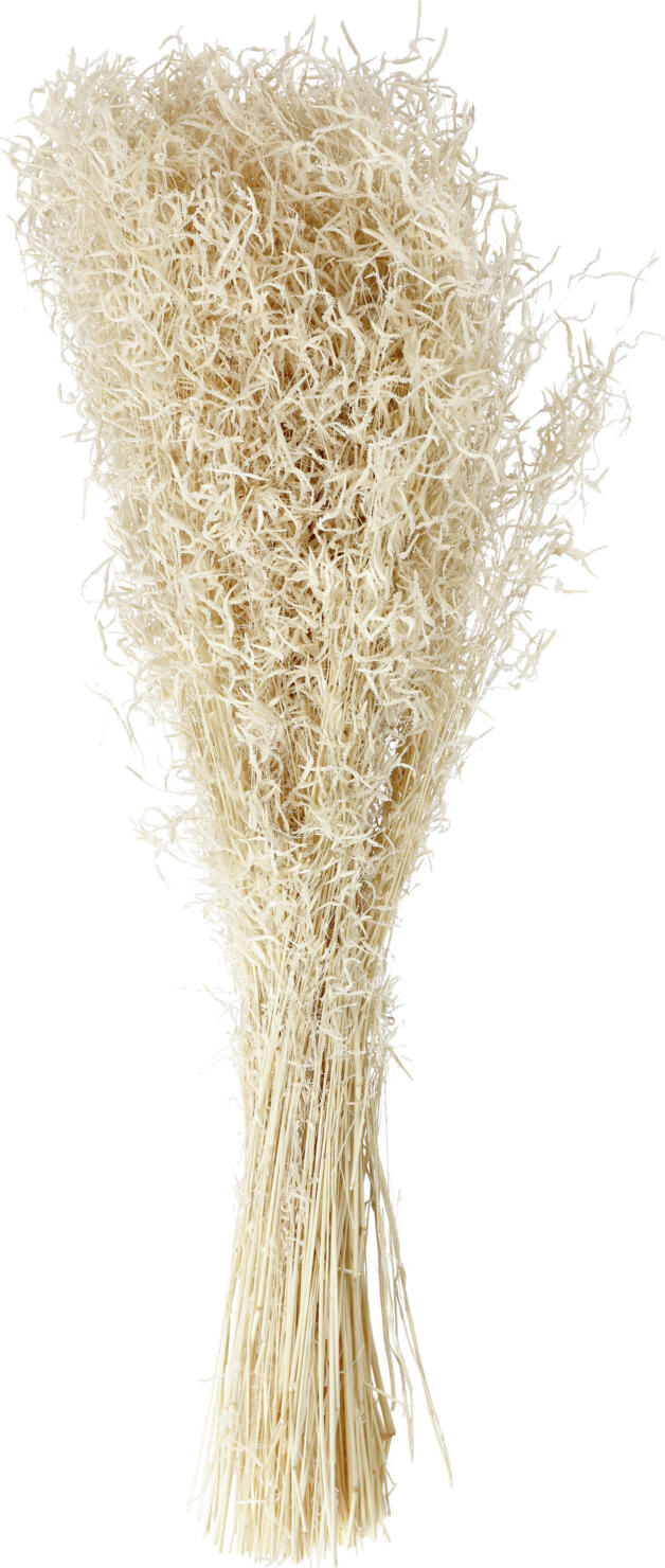 Vega Akemi Dried Flower Bundle, Natural Brown Dried Munni Grass, 60 cm Decorative Fall Decoration
