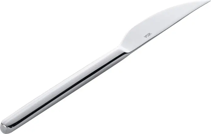 Set de 12 cuțite pentru friptură VEGA Toulon, 23 cm Oțel Inoxidabil Cromat 13/0, Finisaj Lustruit Oglindă, Rezistente la Rugină, Mâner Subțire, Argintii