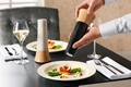 Солонка-мельница VEGA Pestle, белый лакированный ясень, керамический механизм помола сверху, колпачок из нержавеющей стали, 8.4 x 21 см
