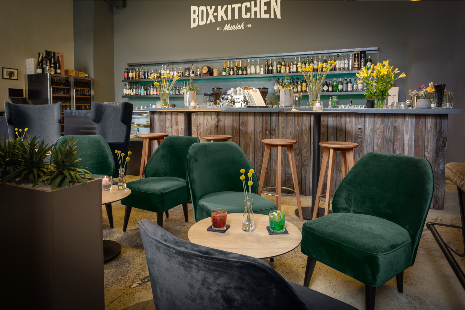 VEGA Lasse Lounge Armchair, Fir-Green Polyester Velvet, Wooden Frame, 54x60x82 cm, Max Load 160 kg, No-Sag Suspension, Indoor Use