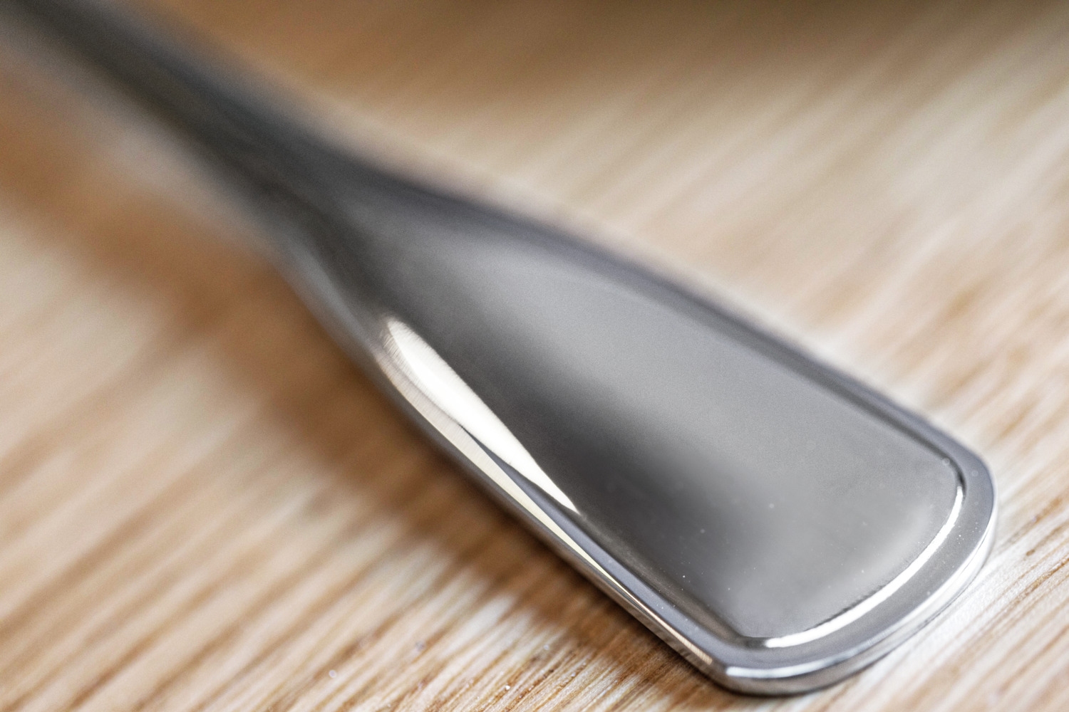 VEGA Spaten Table Spoon Set of 12, 18/10 Chrome-Nickel Stainless Steel, Mirror Polished, Silver, 19.8 cm