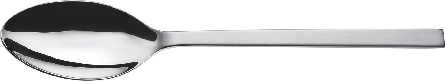 Picard & Wielpütz Girona matt Table Spoons, 18/10 Stainless Steel, Matt Handle, Polished Bowl, 20.9 cm, Silver, Set of 12 Pieces