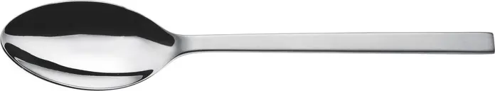 Picard & Wielpütz Girona matt Table Spoons, 18/10 Stainless Steel, Matt Handle, Polished Bowl, 20.9 cm, Silver, Set of 12 Pieces