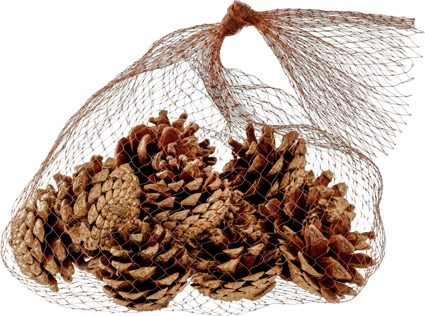 unknown LUSINI Solutions GmbH Pine cones Dalip sprayed Tannenzapfen Dalip besprüht Pine cones Dalip sprayed; 4 cm (Ø); brown/golden Tannenzapfen Dalip besprüht; 4 cm (Ø); braun/gold Natural pine cones sprayed with gold, for Christmas decorations. Natürliche Tannenzapfen mit gold besprüht, für weihnachtliche Dekorationen.