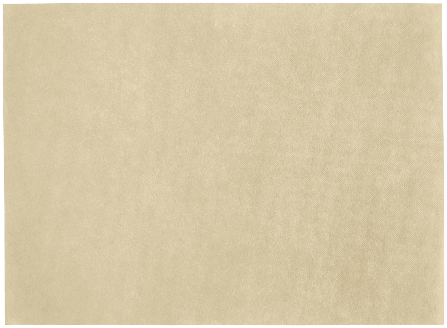 GARCIA DE POU Garcia De Pou, S.A. Placemat Spuno Tischset Spuno Placemat Spuno; 30x40 cm (WxL); natural; 200 piece / pack Tischset Spuno; 30x40 cm (BxL); natur; 200 Stück / Pack Placemat made of textile-like synthetic fiber material, soft, tear-resistant, durable and robust, wipeable and moisture repellent. Material: 100% spunbond non-woven (60 g/m²). For indoor and outdoor use. Tischset aus textilähnlichem Kunstfasermaterial, weich, reißfest, strapazierfähig und robust, abwischbar und feuchtigkeitsabweisend. Material: 100 % Spunbond-Vlies (60 g/m²). Für Innen- und Außenbereich.
