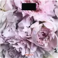 Электронные напольные весы Ardesto SCB-965PEONIES, закаленное стекло, макс. вес 150 кг, точность 0.05 кг, LED-дисплей, встроенный термометр, розовый
