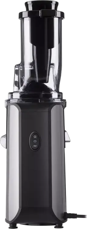 Sorcator de fructe si legume Ardesto JEG-1330SL Slow Juicer, 200W, Inox, Capacitate 0.6L, Argintiu, cu Set de 2 Recipiente si Periuta de Curatare