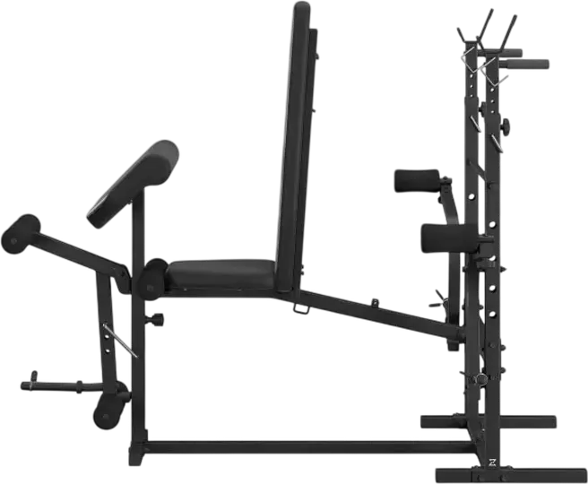 Zipro Ripped Multi-functional Weight Bench with Adjustable Backrest, Barbell Rack, Preacher Curl Pad and Leg Developer, Steel Frame, Black
