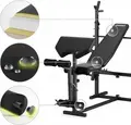 Zipro Ripped Multi-functional Weight Bench with Adjustable Backrest, Barbell Rack, Preacher Curl Pad and Leg Developer, Steel Frame, Black