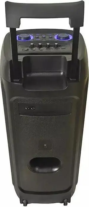 Набор из 3 предметов Party-колонка Eden ED-1015, 100 Вт, 10 дюймов, Bluetooth 5.0, аккумулятор 7000 мАч, LED-подсветка, Караоке, FM-радио, 2 беспроводных микрофона, черный