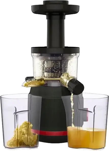 Sforator de fructe slow cold press Tefal Juiceo ZC150838, 150W, 80 RPM, Filtru Inox, Containere 0.8L, Sistem Anti-picurare, Negru