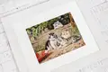 Luca-S B556 Kittens Counted Cross Stitch Kit, 36.5x28.5 cm, 45 Colors, Anchor Mouline Cotton Threads, Ivory Zweigart Aida 16 ct Canvas