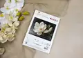 Набор для вышивания Luca-S B713 The Magnolia Dew (Роса Магнолии), Gold Collection, 38 x 28 см, ткань Zweigart Aida 18 ct, 57 цветов, хлопковые нити