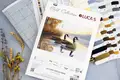 Набор для вышивания Luca-S B728 Autumn Reflections, Gold Collection, канва Zweigart Aida 16ct, 43 x 29 см, 62 цвета, нити 100% хлопок