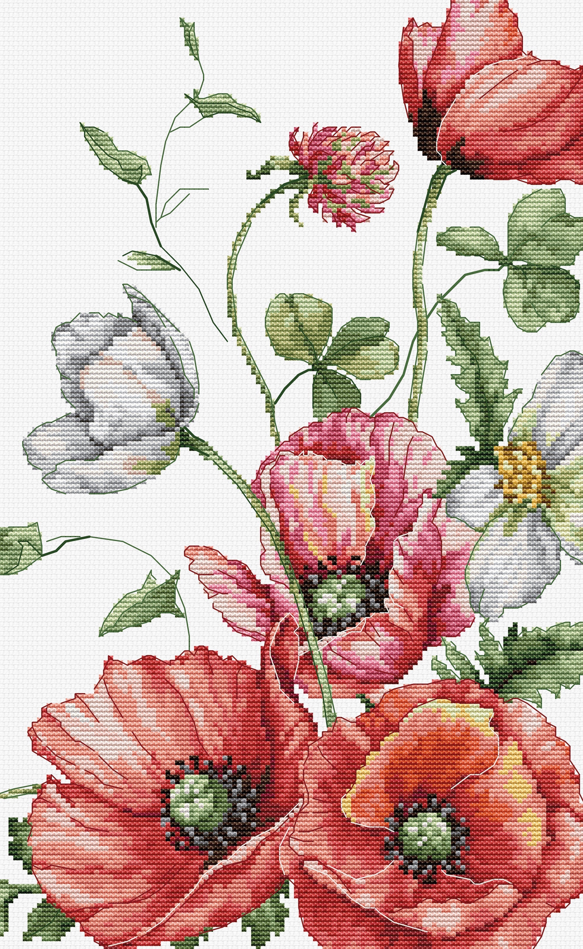 Dimensiunea broderiei: 7.69 x 12.50 in or 20 x 32 cm Numărul de cruciulițe: 123 x 200 Culori: 46 Ață: Luca-S 100% bumbac Pânză: Zweigart Aida 16 ct. (100/101) 34 x 46 cm Ace de brodat №26 -2 ace Schema este parțial colorată și contur colorat - 4 coale A3 Nivel de dificultate: 3/5 Set de brodat în cruciuliță Luca-S Set de brodat în cruciuliță - Maci de câmp, B7020
