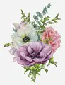 Luca-S Anemone B7017 Cross Stitch Kit, Premium Line, Zweigart Aida 16ct Fabric, 100% Cotton Thread, 15 x 21 cm Embroidery Size, 43 Colors