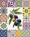 Luca-S B7050 Olive Palette of the Mediterranean Cross Stitch Kit, 20x25 cm, 38 Colors, Zweigart Aida 16 ct White Fabric, 100% Cotton Thread