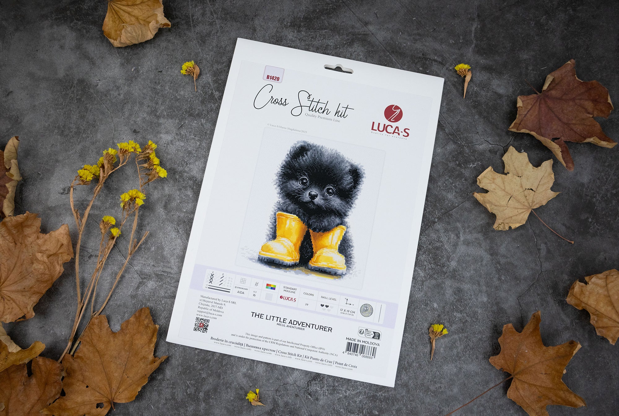 Kit Broderie Luca-S B1420 Micul Aventurier, Pânză Aida 16 ct Albă, Ață 100% Bumbac, Dimensiune Finală 17 x 19 cm, 29 Culori