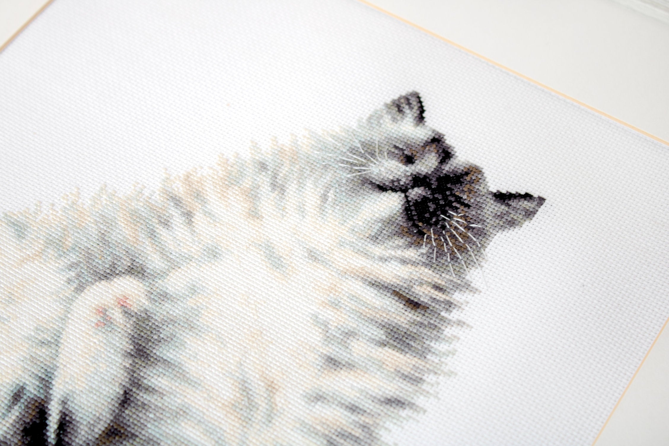 Luca-S B2269 Micky Kitty Cross Stitch Kit, 18 Count White Zweigart Aida Fabric, Anchor Mouline Cotton Threads, 19.5 x 27 cm, 20 Colors