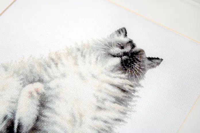 Luca-S B2269 Micky Kitty Cross Stitch Kit, 18 Count White Zweigart Aida Fabric, Anchor Mouline Cotton Threads, 19.5 x 27 cm, 20 Colors