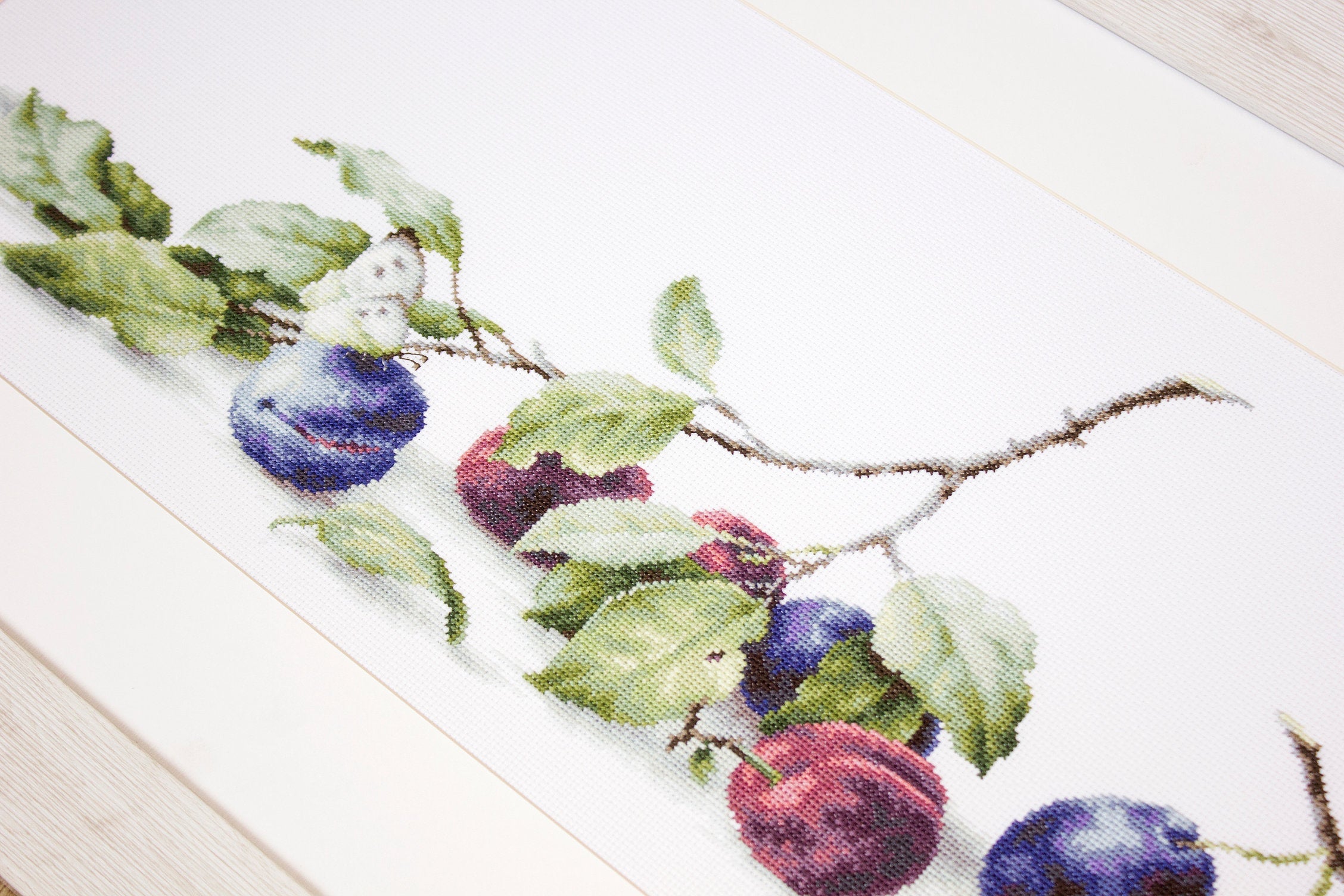 Luca-S B2257 Plums Cross Stitch Kit, Aida 18 Zweigart Canvas 57.5x18 cm, Anchor Muline Threads, Premium Quality Embroidery Set