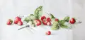 Luca-S B2254 Kit Broderie Crochiu Capşuni, Material Aida 18 Zweigart, Aţă Anchor Mouliné, 49.5 x 18.5 cm, 36 Culori