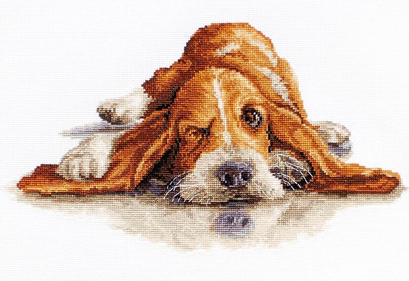 Набор для вышивания Luca-S B2341 Basset Hound, 28 цветов, 28.5x15.5 см, канва Zweigart Aida 18 count белая, нити Anchor muline