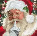 Набор для вышивания крестиком Luca-S B2398 Santa, канва Zweigart Aida 18 ct, нити Anchor и металлизированные, 26 x 25 см
