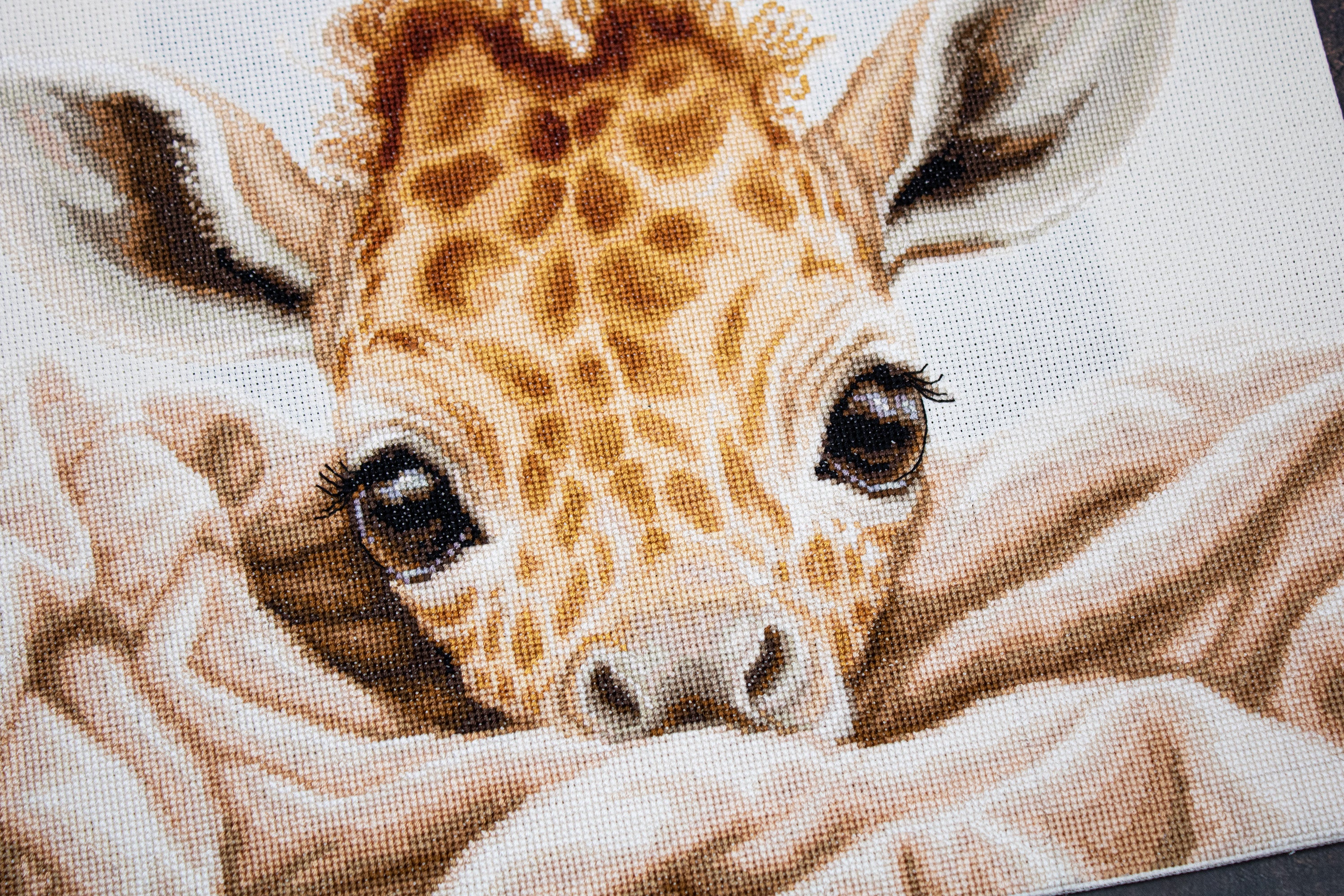 Kit Broderie Luca-S B2425 Puiul de Girafă, Material Zweigart Aida 16 ct, Dimensiuni Broderie 35 x 25 cm, 39 Culori, Fir 100% Bumbac