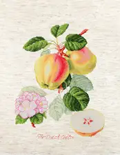 <div style="text-align: left;">Culori: 43</div> <div style="text-align: left;">Dimensiune: 7.17x9.39 IN / 18.5x24 cm Pânză: Aida (54) Rustico 18 ct. Zweigart Ață: muline "Anchor"</div> Set de broderie Luca-S Premium quality Set de brodat în cruciuliță Luca-S - BA22440 Mere