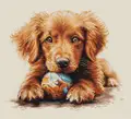 Luca-S BU5037 The Play Time Cross Stitch Kit, Golden Retriever Puppy, Aida 16 ct Canvas, 33 Colors, 22 x 19 cm, 100% Cotton Thread