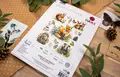 Kit Broderie în Cruce Luca-S BU5057 Animale de Pădure, Material Zweigart Aida 16ct, Ață 100% Bumbac, Dimensiune Finală 30 x 36 cm, 57 Culori