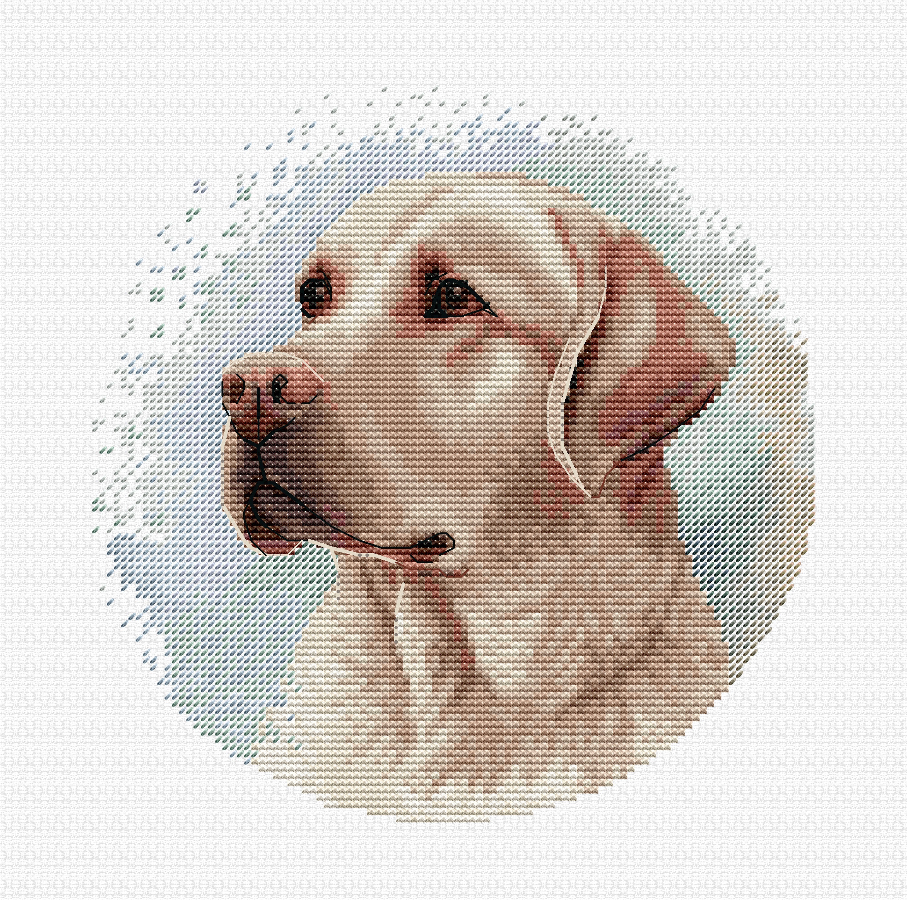 Kit Broderie în Cruce Luca-S BC211 The Labrador, 16x16 cm, Material Zweigart Aida 16ct, 38 Culori, Include Cerc de Broderie Nurge
