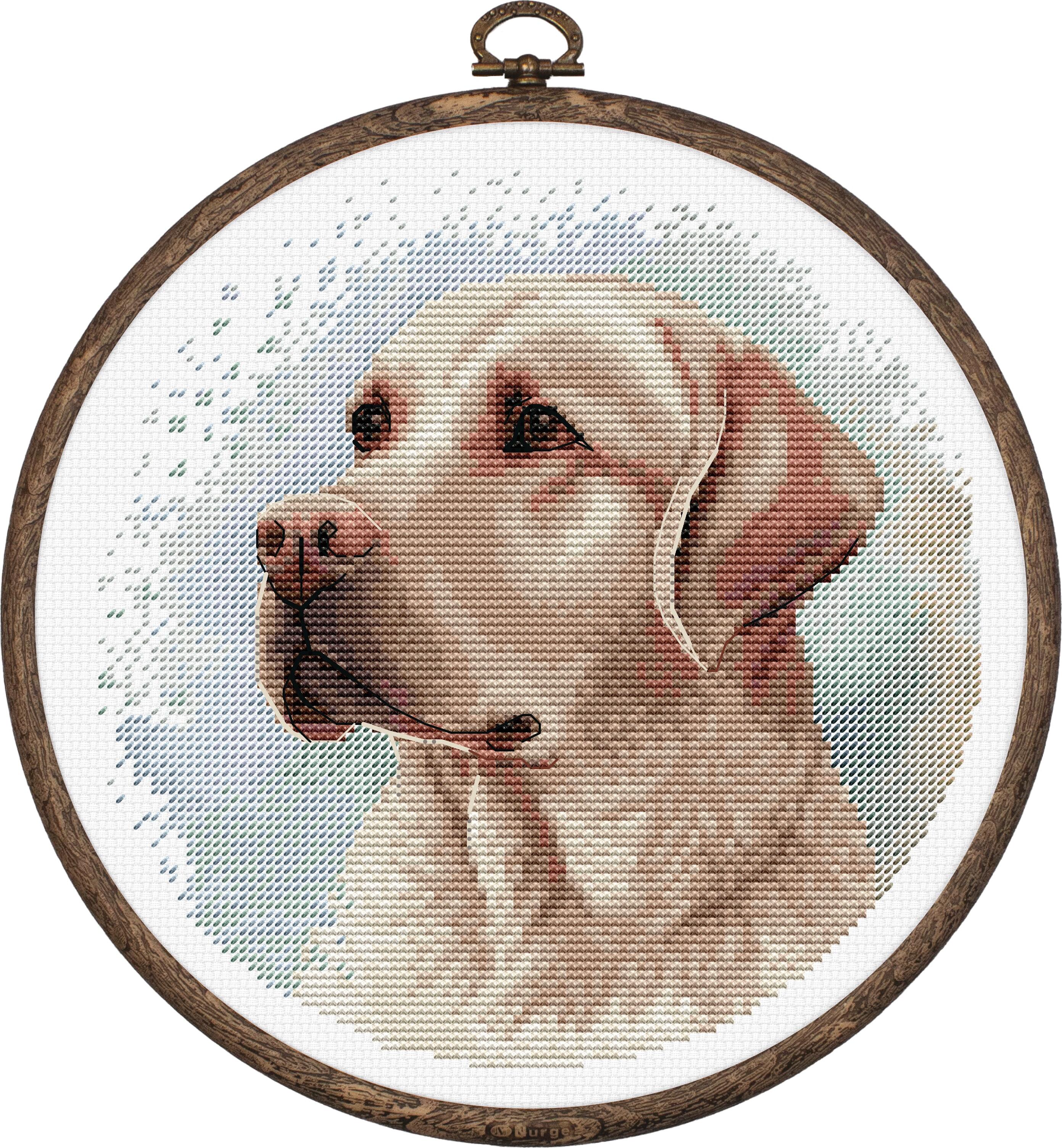 Kit Broderie în Cruce Luca-S BC211 The Labrador, 16x16 cm, Material Zweigart Aida 16ct, 38 Culori, Include Cerc de Broderie Nurge