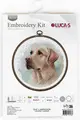Kit Broderie în Cruce Luca-S BC211 The Labrador, 16x16 cm, Material Zweigart Aida 16ct, 38 Culori, Include Cerc de Broderie Nurge