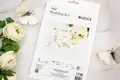Luca-S Trandafirul Tau de Nunta W01 Kit de Broderie in Cruce, Material Aida 28 ct, Dimensiune Finisata 10x10 cm, 20 Culori, Fir 100% Bumbac