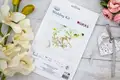 Kit Broderie în Cruce Luca-S W04 Parfumul Dragostei Nuntă, Material Zweigart Aida 28 ct, Dimensiune Finală 10x10 cm, 12 Culori, Fir 100% Bumbac