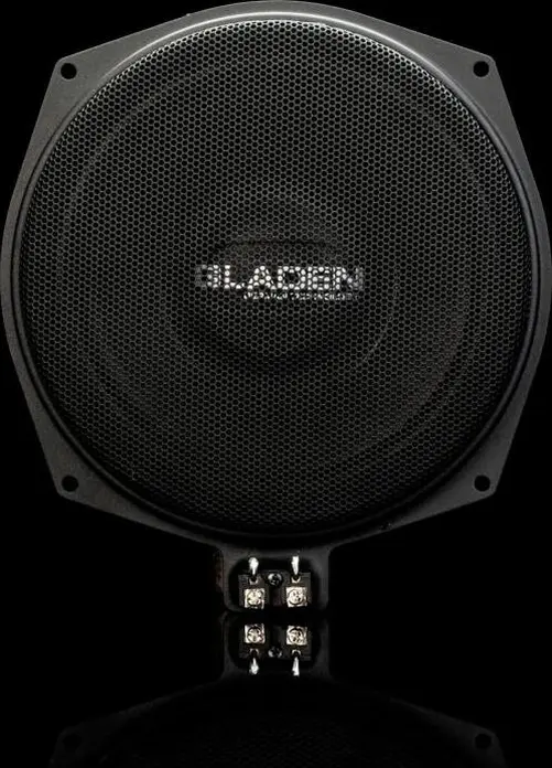 GLADEN 202BMW-3 Under Seat Low-Frequency Woofers, Set of 2, 200 mm, 3 Ohm, 150W, Neodymium Magnet, Coated Paper Diffuser for BMW
